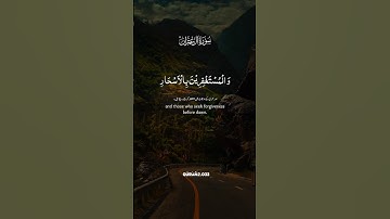 سورة آل عمران #القران_الكريم #اكسبلور #quran #صباح_الخير  #islam #islamic