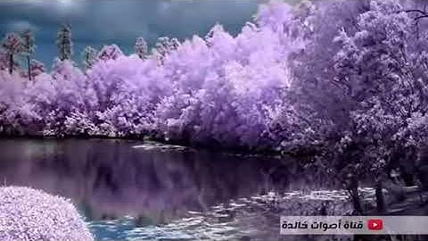 أروع تلاوة لتهدئة الأعصاب والنفوس في العالم    للقارئ عبد الباسط عبد الصمد _ جودة عالية