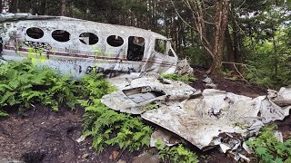 Plane Crash In The Mountains