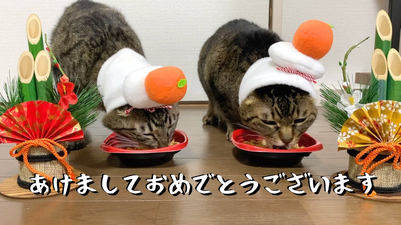Ten video】Happy New Year! - YouTube