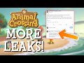 More leaks about the next animal crossing game