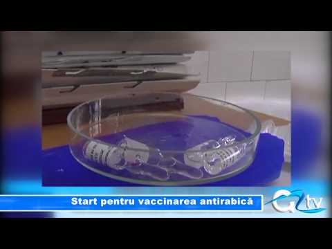 Video: Vaccin Antirabic Pentru O Pisică: Ce Vaccin Se Folosește, Cum Funcționează, Când Trebuie Făcut, Recomandări Ale Medicilor Veterinari, Recenzii