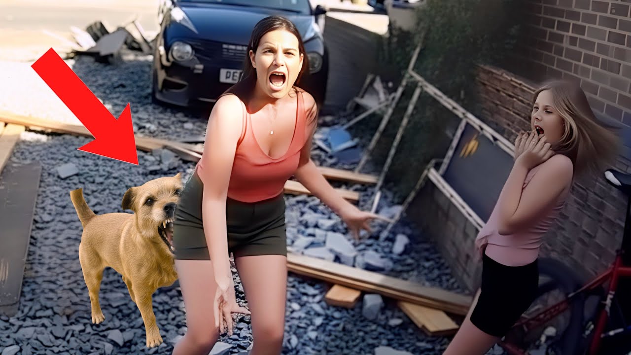 রাস্তায় কুকুর দেখলেই আদর করতে যাবেন না | মায়াজাল | আমেজিং দুনিয়া | ADVUT 10 | amazing world