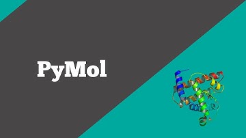 Bioinformatics: PyMol | BioCode Ltd
