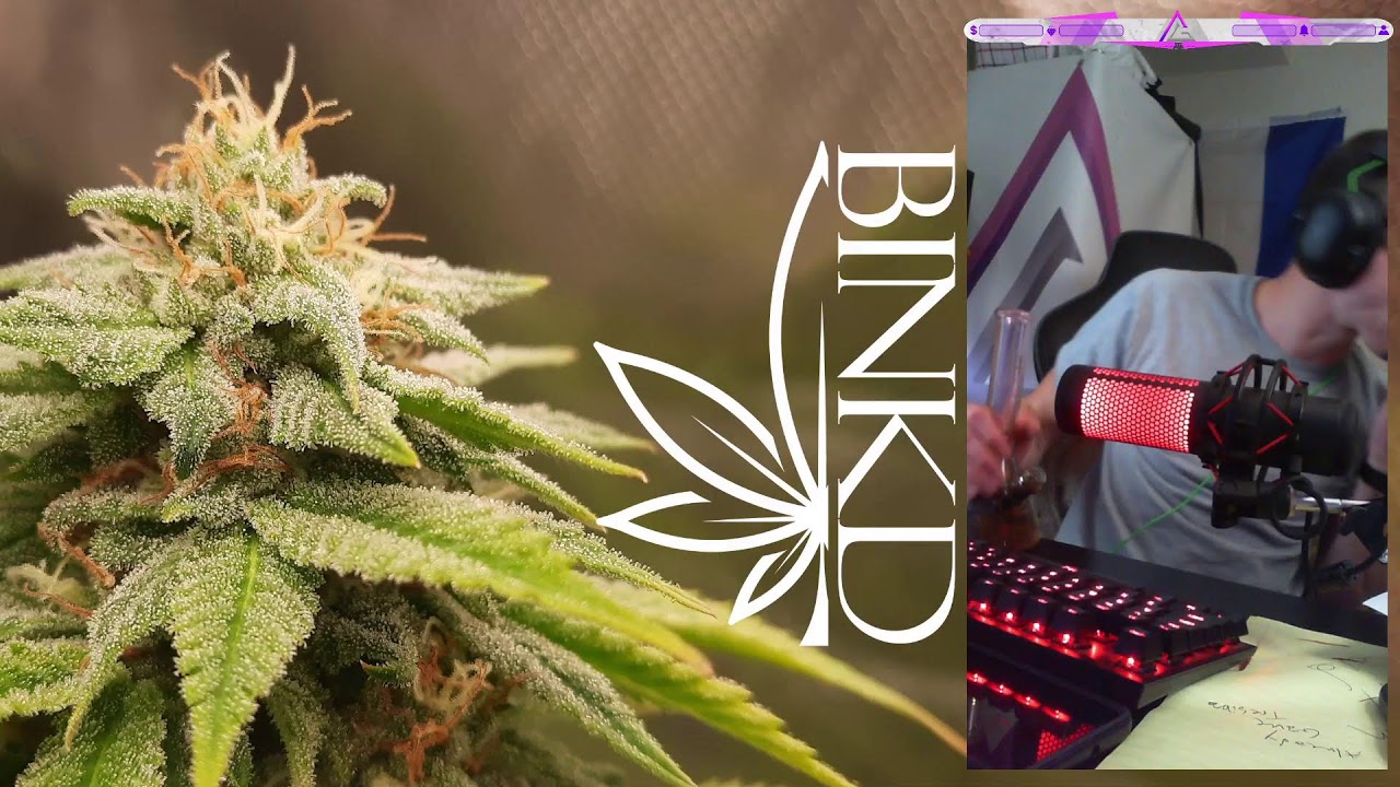 FAT RIPZ & TC Division 2 | Augustus Gaming | Grown by Binkd