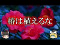 椿を庭に植えない方がよい理由【ゆっくり解説】