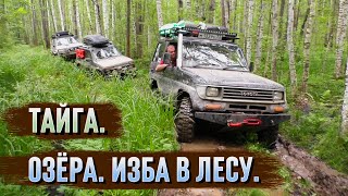 видео: К таежным озерам на внедорожниках. Нашли избушку в лесу. Разведали начало старого тракта. Бездорожье картинка: К таежным озерам на внедорожниках. Нашли избушку в лесу. Разведали начало старого тракта. Бездорожье