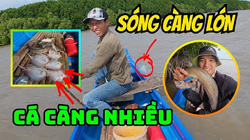 BÍ QUYẾT Thả Câu Cửa Biển Toàn Cá Đuối Và Cá Ngát KHỦNG