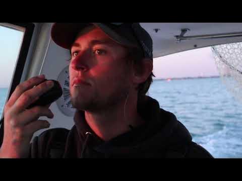 Late Spring Lake Erie Walleye Fishing 