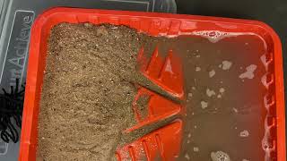 How does water change Earth- waves