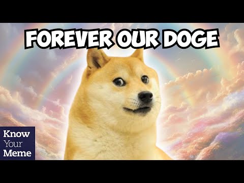 RIP Doge: Kabosu, the Beloved Shiba Inu of the Doge Meme Has Crossed The Rainbow Bridge
