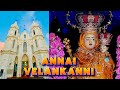 Annai Velankanni  #velankanni  #madha #walkthrough #travel #story #inspiring #Jesus