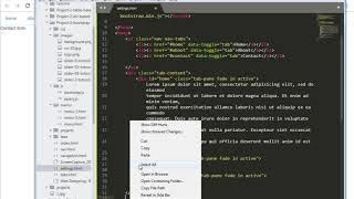 Web Designing  Bootstrap dynamic tabs for admin settings and pages