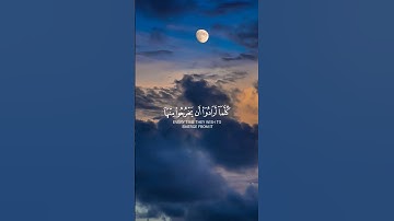 💎 تلاوة خاشعة من سورة السجدة بصوت ياسر الدوسري #قران #أرح_نفسك4u #قران_كريم #🤲🏻#راحة_نفسية_للقلب🤲📿💕