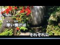 涙の花舞台(北島三郎)cover kenichi