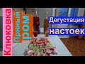 Дегустация настоек Клюковка и Пряный Ром.