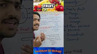 Structure of Ovary l Fruit class 12 l Ovary Development l Embryo Development l #fruit #seed #neet