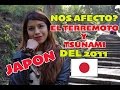 Tsunami y Terremoto del 2011 JAPON