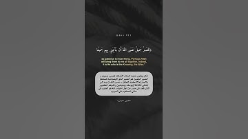 فصبرٌ جميل ❤️ سورة يوسف هيثم الدخين حالات واتس