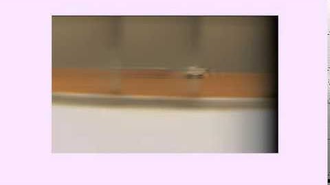 5-D IIR Depth-Velocity Filtered Light-Field Video