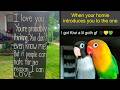 Soul-Healing Posts That Hit Deeper Than a Pixar Movie 💛 | Humor Sweet