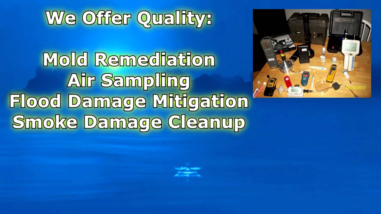 Mold Removal in San Francisco