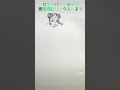 ジョジョの奇妙な冒険 空条徐倫のイラストを一発描きで描いてみた Drawing Jolyne Cujoh JOJO S BIZARRE ADVENTURE 