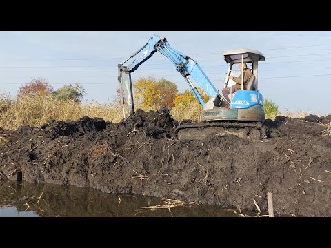 Оренда водойми. Чистимо берег від очерету. Частина 2.