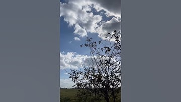 وَاصْبِرْ وَمَا صَبْرُكَ إِلَّا بِاللَّهِ ۚ | سورة النحل