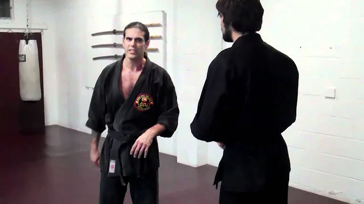 Combat  Jujutsu by  TWO - by Dr Patrick Price (Wri...
