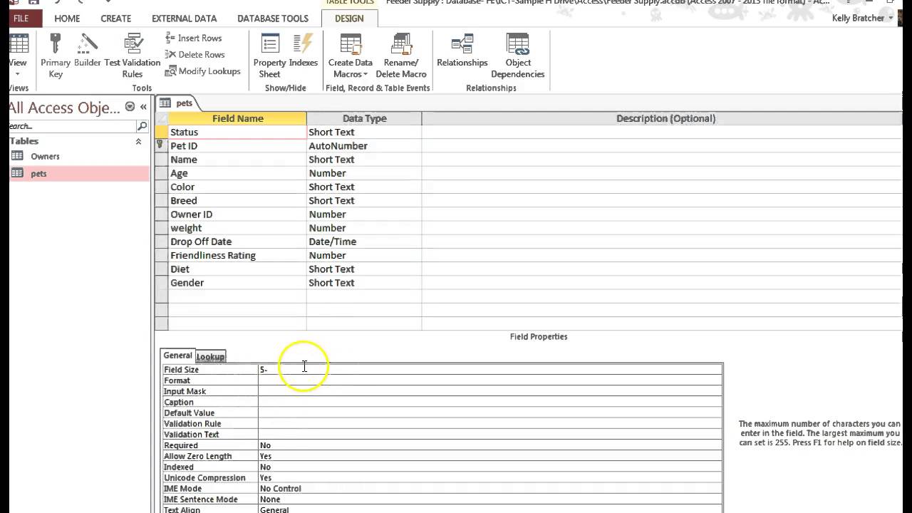 How To Increase Field Size In Access - Memberfeeling16