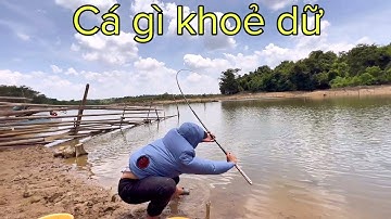 ✅ Hành trình câu cá Rô Phi Cụ đập bán thiên nhiên Cần Đơn, Bình Phước tập 1 | DUY FISHING SAI GON