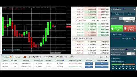 How to Trade BitSeven Leverage- +25% Directional Trading - Beginners Sessions