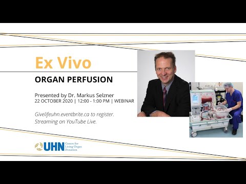 Ex Vivo Organ Perfusion