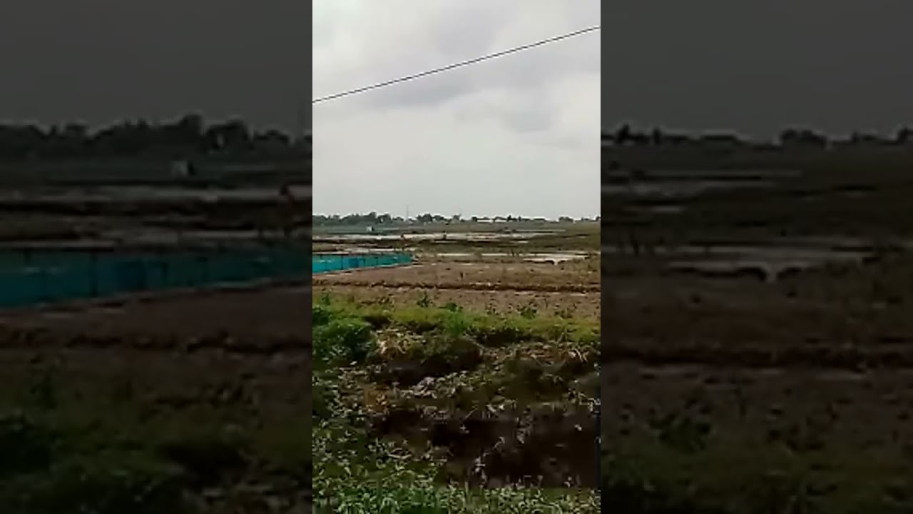 Replay Live | Suasana Alam Terbuka & Sawah 