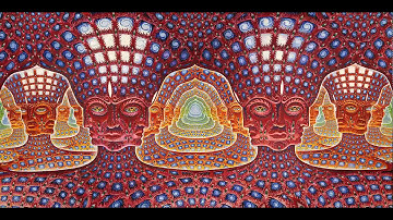 Alex & Allyson Gray on DTFH - Holofractal Psychedelic Experience