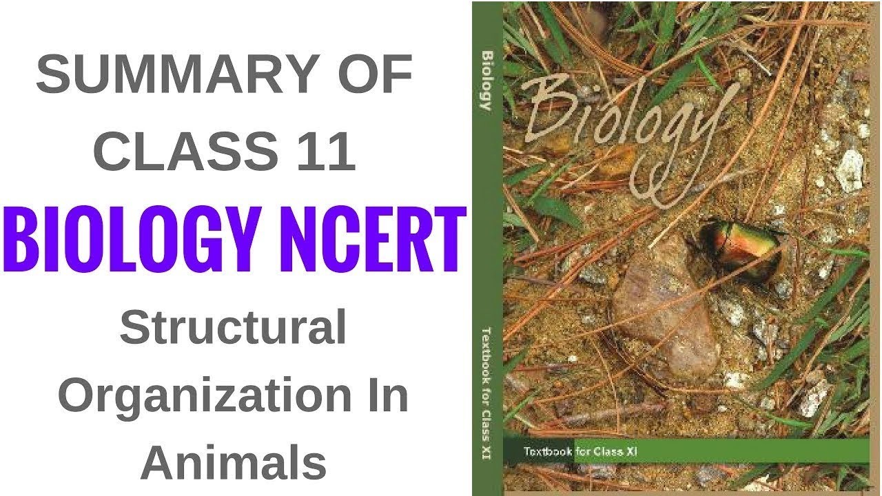 L 15 Structural Organization In Animal Nervous System Of Cockroach