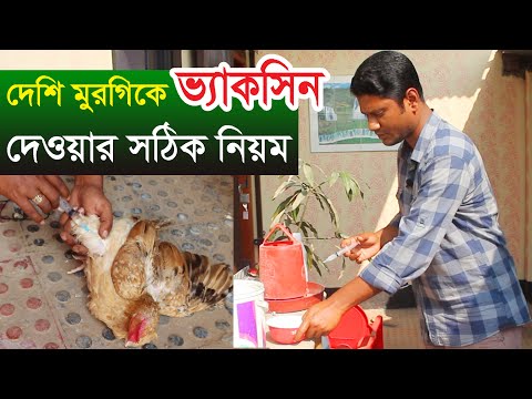 ভিডিও: কচ্ছপের আক্রমণ থেকে মুক্তি পাওয়ার 3 টি উপায়