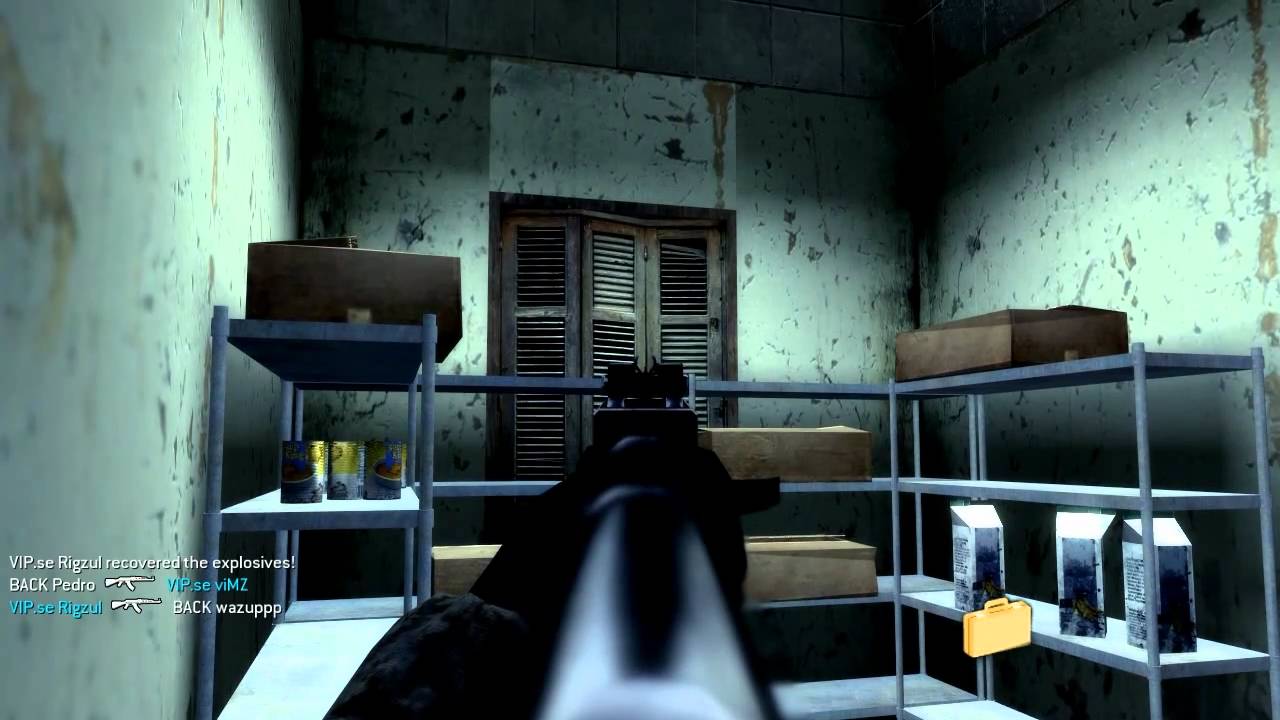 Riqzul and viMZ having fun 2v2cb