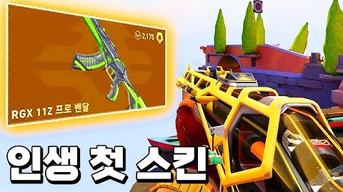 발로란트 rgx 스킨 - ballolanteu rgx seukin