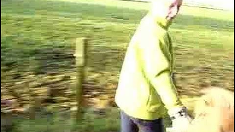 klencke shetjes - remix