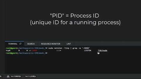 Full Stack Web Developer Course: (misc) - Killing a Rogue Node Process