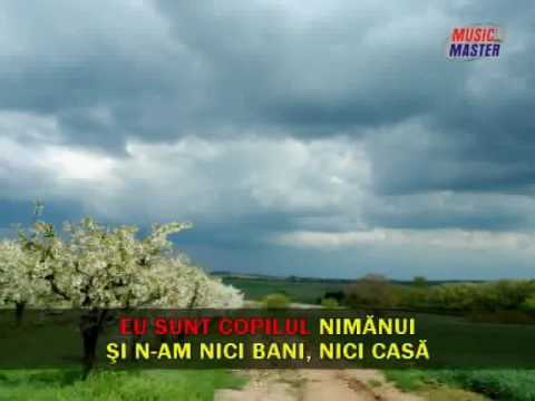 Video: Cum Să Cânți în Karaoke