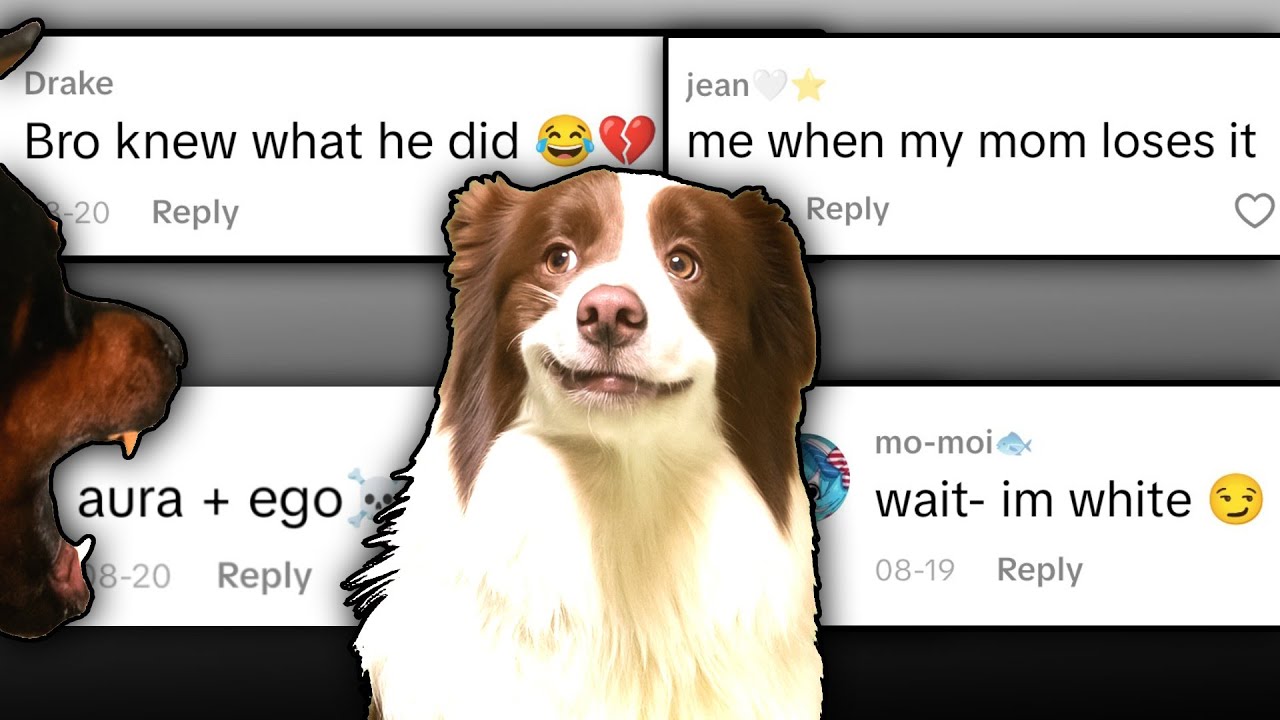 He's Mad, I'm Glad 😎 - Chat Music