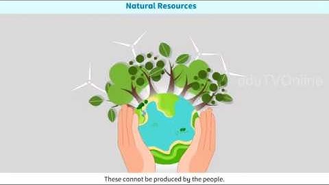 Natural Resources-Business Studies ||Animated Video