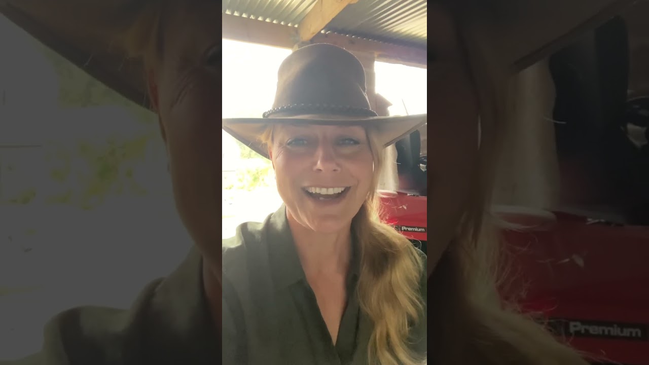 What to feed Pygmy Goats and Cameroon Sheep.