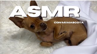 ASMR CON MI MASCOTA 🐾 | Caricias-Cepillado-Soft Spoken screenshot 5