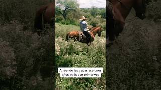A few years back in Mexico ?? #ranchlife #horseriding #jalisco #vidaderancho