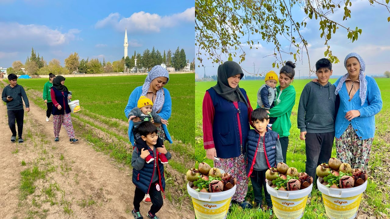 LEZZET KÖYÜ | İNANILMAZ TOPRAK YEMEĞİ TAZE NAR HASADI VİLLAGE LİFE