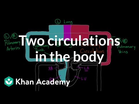 Two Circulations in the Body | Circulatory system physiology | NCLEX-RN | Khan Academy